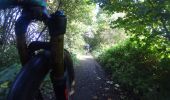 Trail Mountain bike Ham-sur-Heure-Nalinnes - Ham_sur_Heure_Nalinnes_20211010_102642 - Photo 6