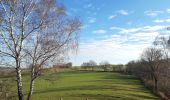 Tour Wandern Lierneux - lierneux . promenade aérienne dans la vallee de la lienne - Photo 15