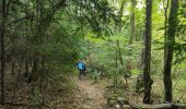 Trail Walking Plan-d'Aups-Sainte-Baume - Sentier merveilleux - La Ste baume - Le Plan d'aups  - Photo 15