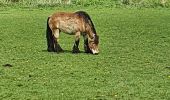 Tocht Stappen Esneux - Evieux, Ham, Beaumont - Photo 13