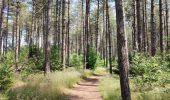 Tour Wandern Hechtel-Eksel - Promenade vers la piste dans les arbres  - Photo 6