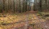 Tocht Paardrijden Habay - Forêt de Rulles - Photo 5