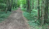 Trail Walking Saint-Forget - Dampierre, mesnil sevin, mesnil saint denis via les bois  - Photo 10