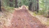 Tocht Lopen Royère-de-Vassivière - jour 17 CAP Jeanot - Photo 6