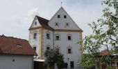 Excursión A pie Kallmünz - Jurasteig Bärenloch-Schlaufe - Photo 8