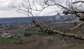 Trail Walking Valence - Cornillas, Le vignoble, Peyrandieu - Photo 12