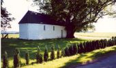 Tour Zu Fuß Bièvre - Se mouvoir et s'émouvoir au gré de l'Ardenne insoupçonnée. Parcours complet - Photo 6