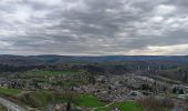 Tour Wandern Aywaille - autour de Dieupart et Sougné sur les deux versants  - Photo 20