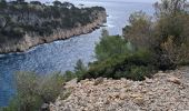 Trail Walking Cassis - Cassis  port miou, morgiou   - Photo 6