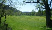 Trail On foot Lichtenfels - Lichtenfelser Panoramaweg - Photo 2