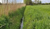 Percorso A piedi Kalbe - Rund um Heidenau-Kalbe Wanderweg - Photo 2