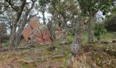 Percorso Marcia Bormes-les-Mimosas - Randonnée des trois cols à Bormes les Mimosas - Photo 10