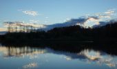 Trail On foot Wiesenbach - Tour 10 - Vogelparadies Oberegger Stausee - Photo 3