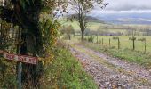 Tour Wandern Orcival - La Roche Branlante  - Photo 4