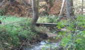 Tocht Stappen Mörsdorf - pont suspendu de Geierlay - Photo 12