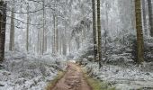 Percorso Marcia Waimes - Extratrail de Malmedy 🥾 - Photo 6