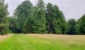 Trail Walking Tervuren - Arboretum - Kapucijnenbos - Photo 2