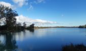 Tocht Stappen Cayeux-sur-Mer - lac de caouaisse . brighton . pointe de hourdel . lac de caouzisse   - Photo 17