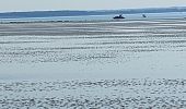Tocht Stappen Le Crotoy - balade baie de somme - Photo 9