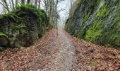 Excursión Senderismo La Roche-en-Ardenne - rando warempage 10/12/2020 - Photo 18