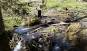 Trail On foot Kiefersfelden - Weg Nr. 5 - Höhenrundweg um den Scharzenberg - Oberaudorf/Hocheck - Photo 10