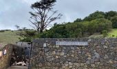 Tocht Stappen Valverde - Valverde - Garoé - Ventejis (El Hierro) - Photo 13