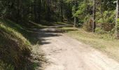 Randonnée Marche Fozières - Fozières col de la Melanque - Photo 5