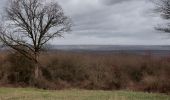 Trail Walking Doische - Matagne la petite120321 - Photo 6
