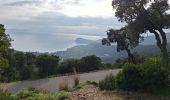 Trail Road bike Le Lavandou - bormes col canadel bormes - Photo 9