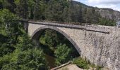 Randonnée Vélo de route Langogne - Langogne, le nouveau monde - Photo 4