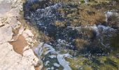 Tocht Stappen Roquebrune-sur-Argens - La Bouverie - Gorges du Blavet - Grotte du Muéron - Photo 10