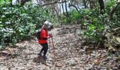 Tour Wandern Le Lorrain - Boucle Crabière - Anse Rivière Rouge - Photo 10