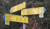 Trail On foot Lautenbach - Kappelrodecker Hexensteig - Photo 9