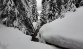 Trail Snowshoes Glières-Val-de-Borne - GLIERES: PAS DU LOUP RAQUETTES - Photo 3