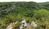 Randonnée Marche Cras - Cras - Oppidum de Murcens - Photo 2