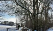 Trail Walking Tinlot - Ramelot sous la neige - Photo 7