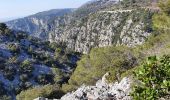 Tour Wandern Évenos - Le broussan croupatier fin randonnée  - Photo 3