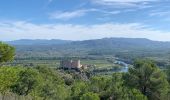 Percorso Marcia Miravet - Miravet alentours et Château  - Photo 15