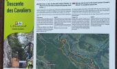 Trail Walking Aiguines - La Maline-Imbut-Vidal - Photo 1