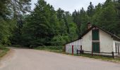 Tocht Te voet Saint-Quirin - Le Canceley, le Grand Rommelstein et le Rocher du Calice - Photo 11