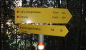 Randonnée A pied Goldegg - Buchberg-Gipfelrundweg - Photo 1