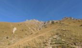 Tour Wandern Lus-la-Croix-Haute - Lac du Liziau et col du Charnier en boucle - Photo 11