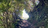 Tour Wandern Ribeira Seca - GR01 Sao Jorge : Serra do Topo - Faja dos Cubres - Photo 17