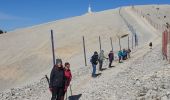 Trail Walking Bédoin - Mont ventoux  - Photo 5