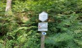 Trail Walking Bièvre - Bellefontaine 250521 - Photo 7