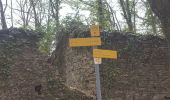 Randonnée Marche La Trinité - Les Tours de Montmayeur au départ de la Trinité via col de Cochette - Photo 3