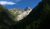 Randonnée A pied Trient - Sentier des Alpages - Photo 1