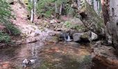 Randonnée Marche Aumessas - Lac de Pises au départ Le Travers - Photo 19