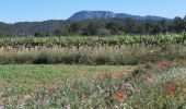 Percorso Marcia Correns - Correns_le plateau de Merindol - Photo 1