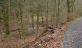 Trail Walking Herbeumont - herbeumont. sentier des songes - Photo 4